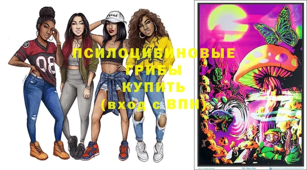 винт Гусь-Хрустальный