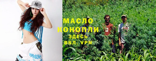 экстази Гусев