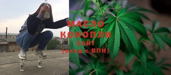 винт Гусь-Хрустальный