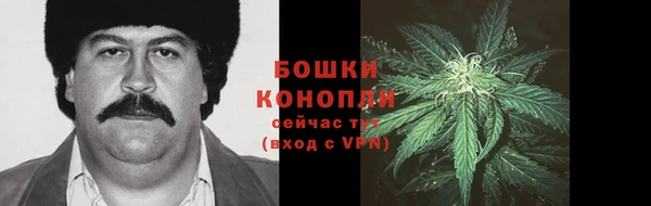 винт Гусь-Хрустальный