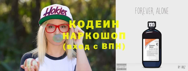 винт Гусь-Хрустальный