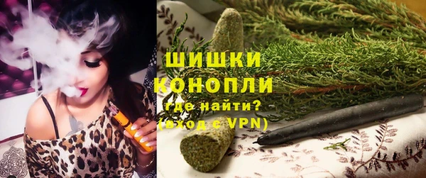 индика Нязепетровск