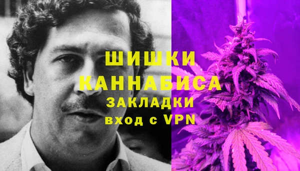 винт Гусь-Хрустальный