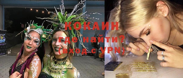 винт Гусь-Хрустальный