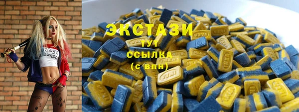 экстази Гусев