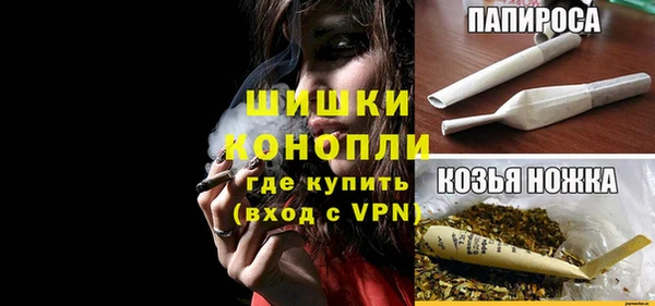 дмт Нягань