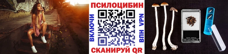 купить наркотик Волгоград Галлюциногенные грибы Psilocybine cubensis