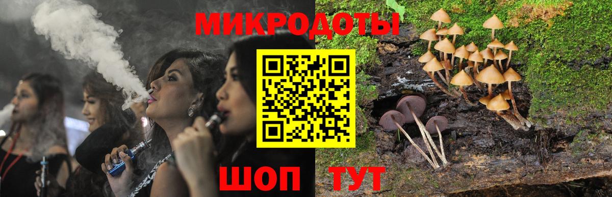 Псилоцибиновые грибы MAGIC MUSHROOMS  Галлюциногенные грибы мицелий  Волгоград  Вход с VPN 