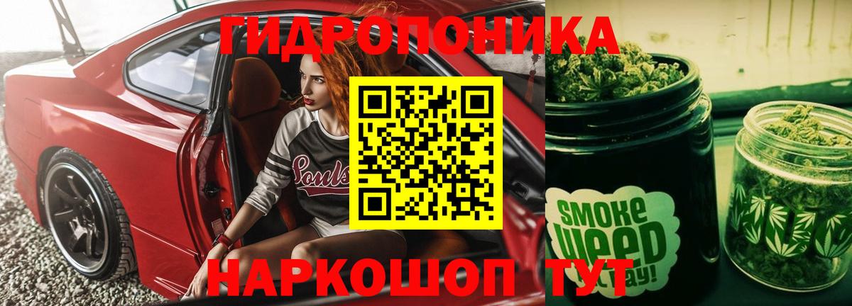 Бошки марихуана планчик  Конопля план  Вход с VPN  Волгоград  Марихуана AK-47 